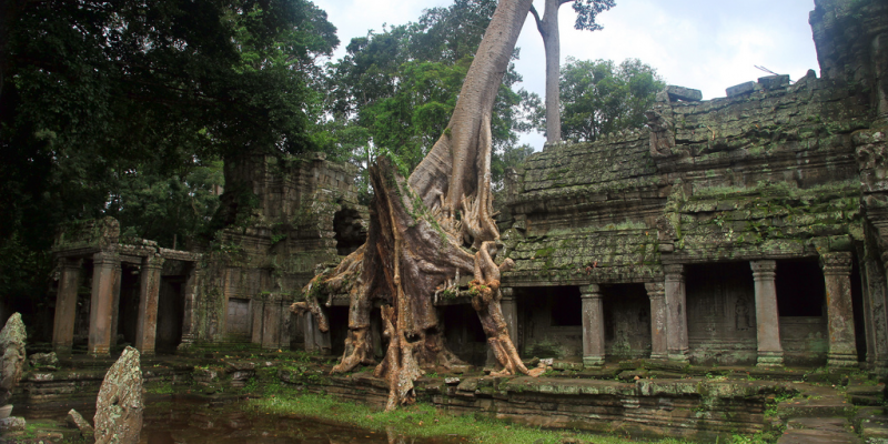 ,Khmer Angkor Tour Guide Association (KATGA)
