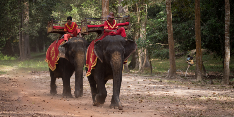 Special 1 Day in Siem Reap, Angkor Wat,Khmer Angkor Tour Guide Association (KATGA)