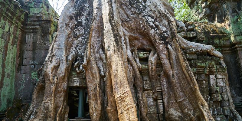 ,Khmer Angkor Tour Guide Association (KATGA)